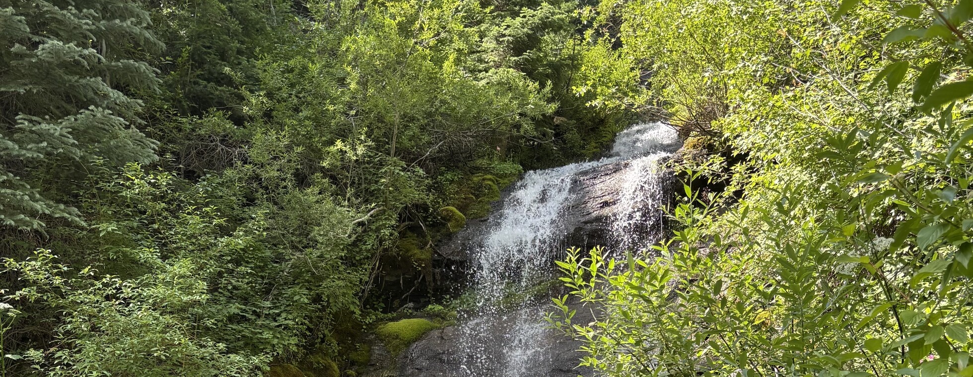 Waterfall Walk and Forest Health Talk